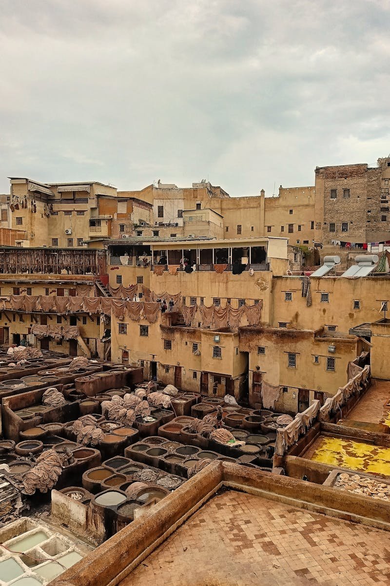 Traditional Leather Tanning in Fes