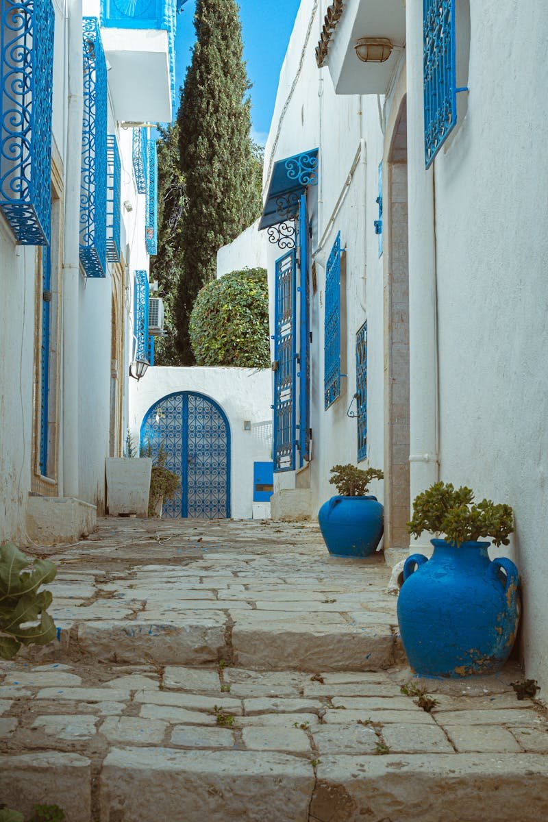 Explore a picturesque blue and white street in Carthage, featuring vibrant architecture and potted plants.