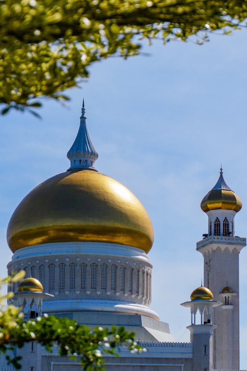 Beautiful view of mosque with golden domes framed by foliage, under a bright blue sky.
