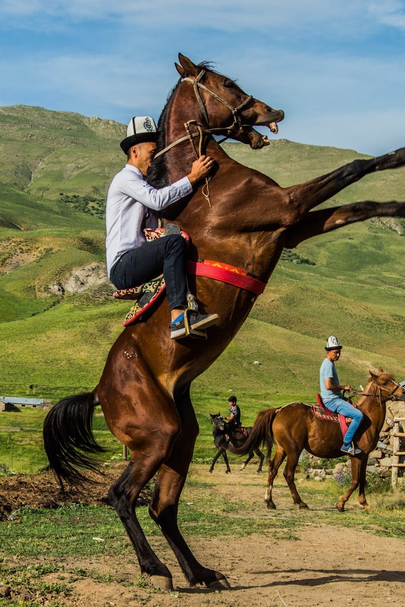 Dynamic equestrian scene in the vibrant landscapes of Ulupamir, Türkiye.