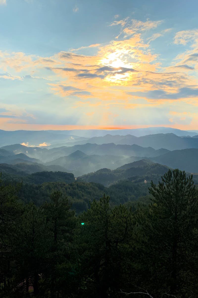 Serene sunrise over misty mountains and lush forests in Πρόδρομος, Cyprus.