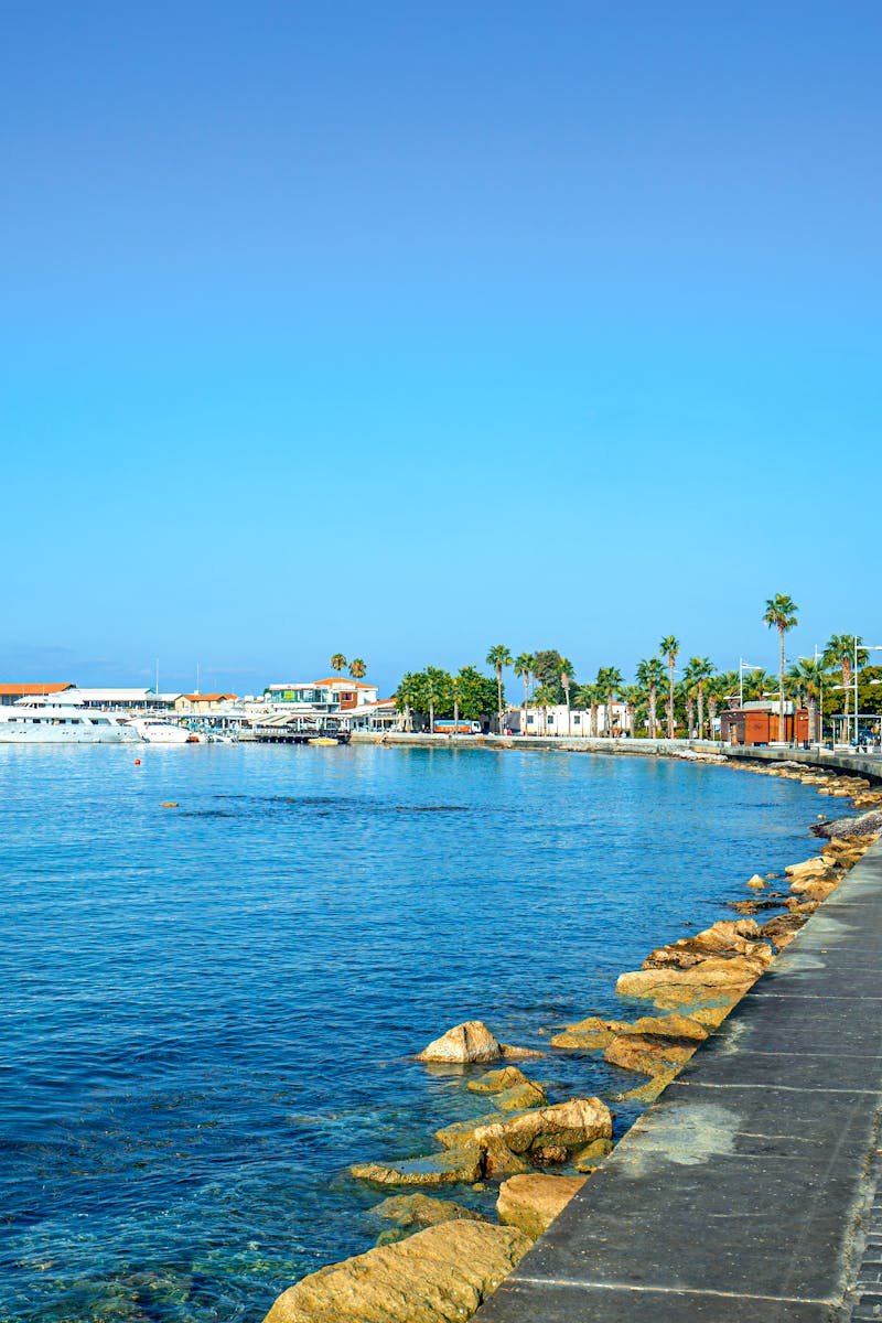 Peaceful Mediterranean harbor with palm trees, clear blue skies, and vibrant sea in Cyprus.