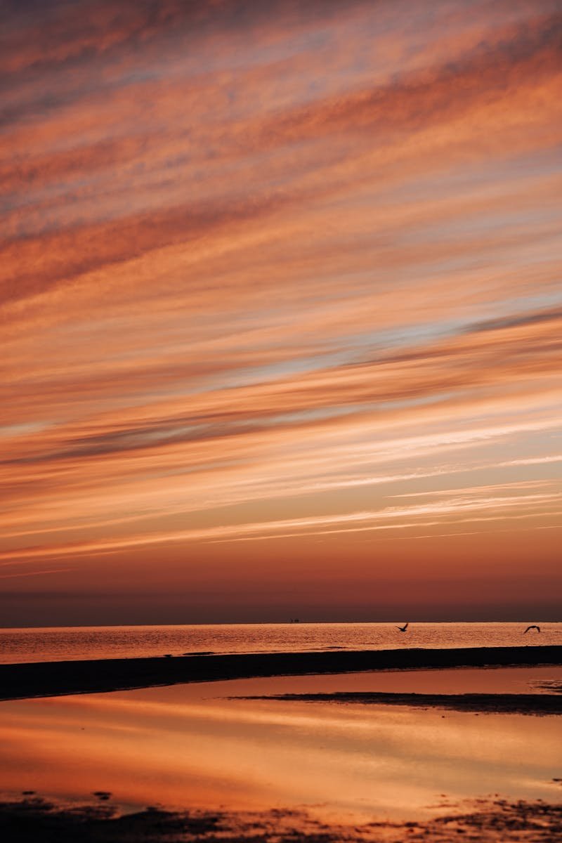 Capture the serene beauty of a sunrise over Jūrmala beach, Latvia with vibrant skies reflecting on the Baltic Sea.