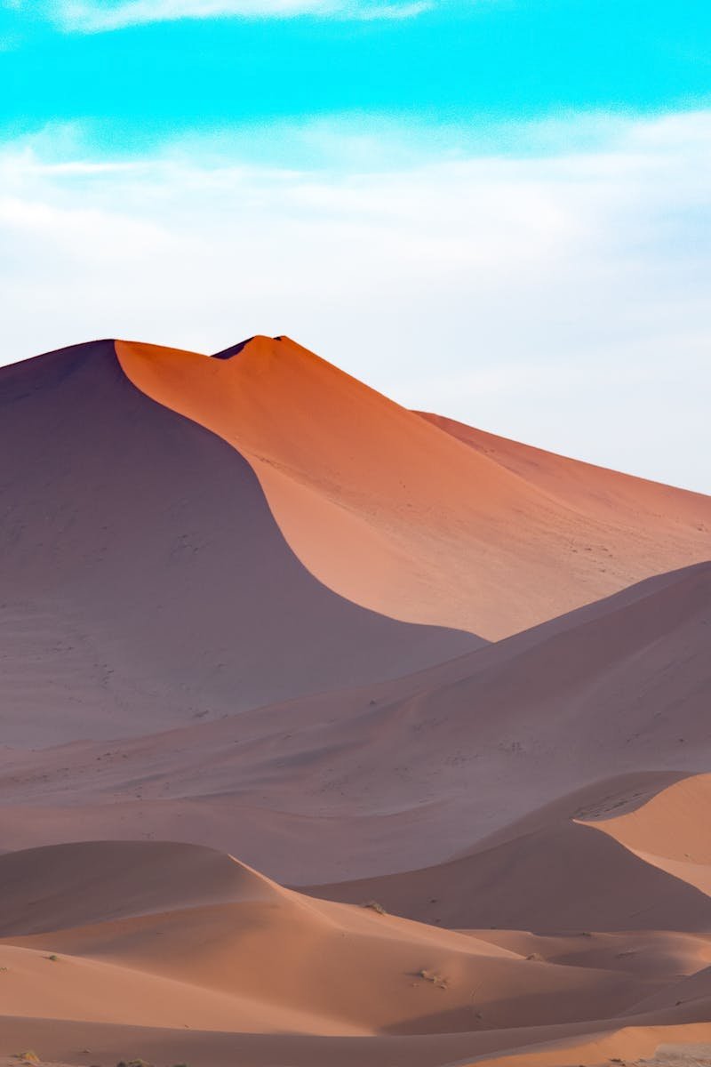 Capture the serene beauty of Namibian sand dunes under a vibrant sky. Perfect for desert-themed designs.