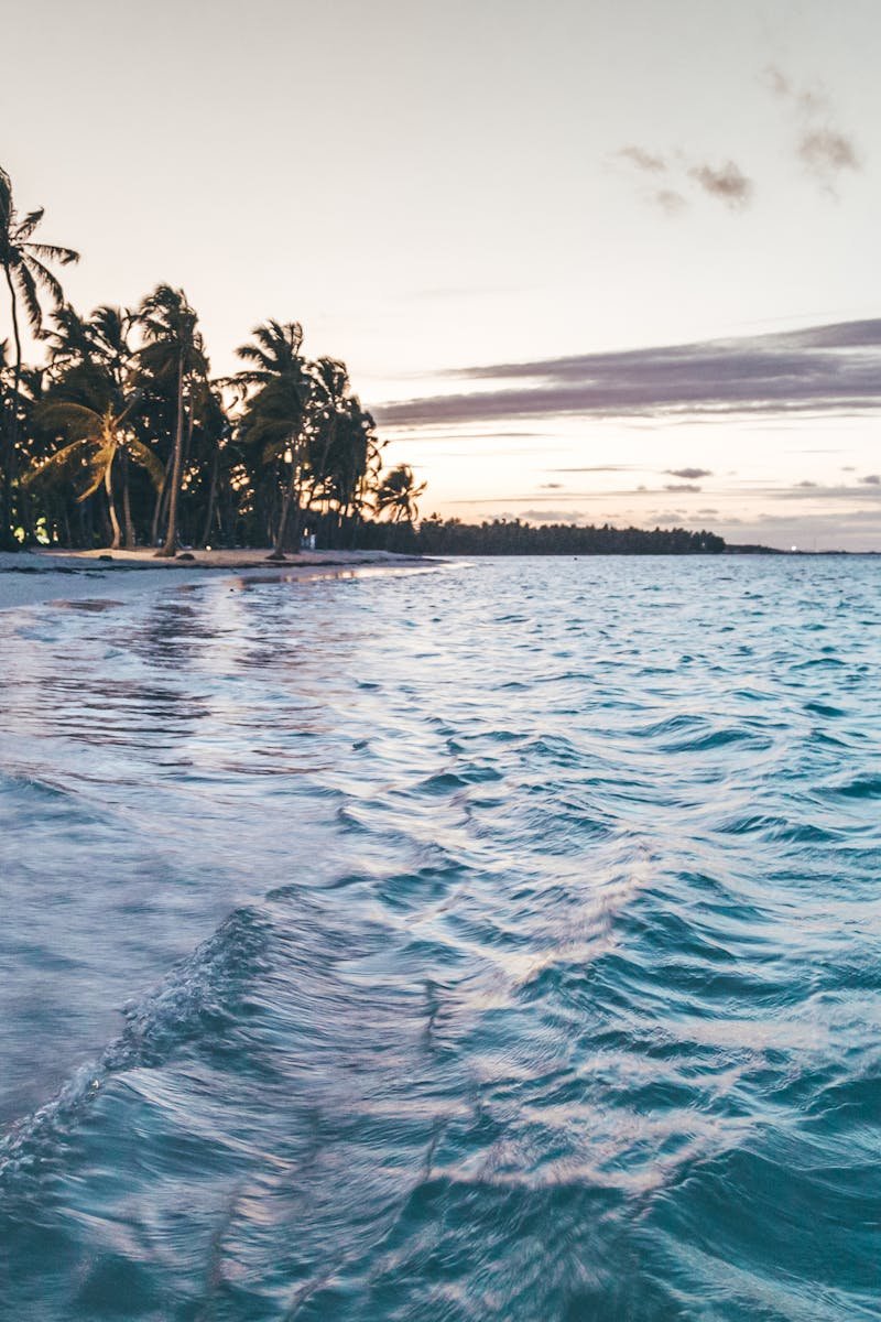 Silhouette on a tranquil beach in Punta Cana during twilight, capturing a peaceful tropical scene.