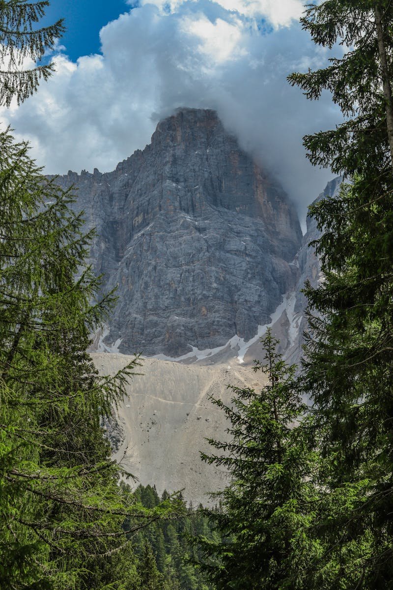 Scenic view of a rocky mountain peak framed by lush green pine trees and clouds.
