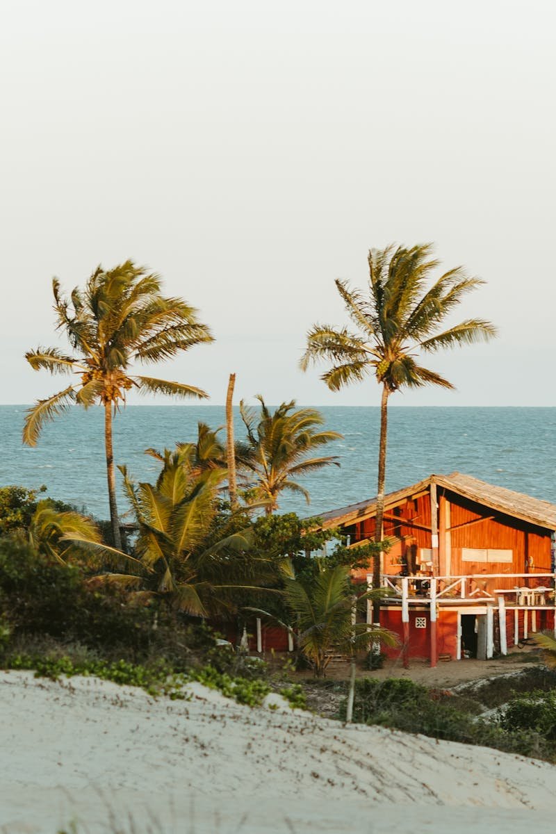 Scenic view of a rustic beach house in Itaúnas, surrounded by palms and sandy shores.