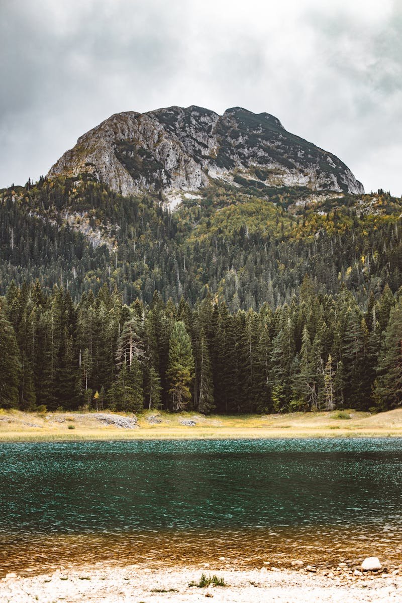 A tranquil lakeside view with pine forests and a majestic mountain in the background.