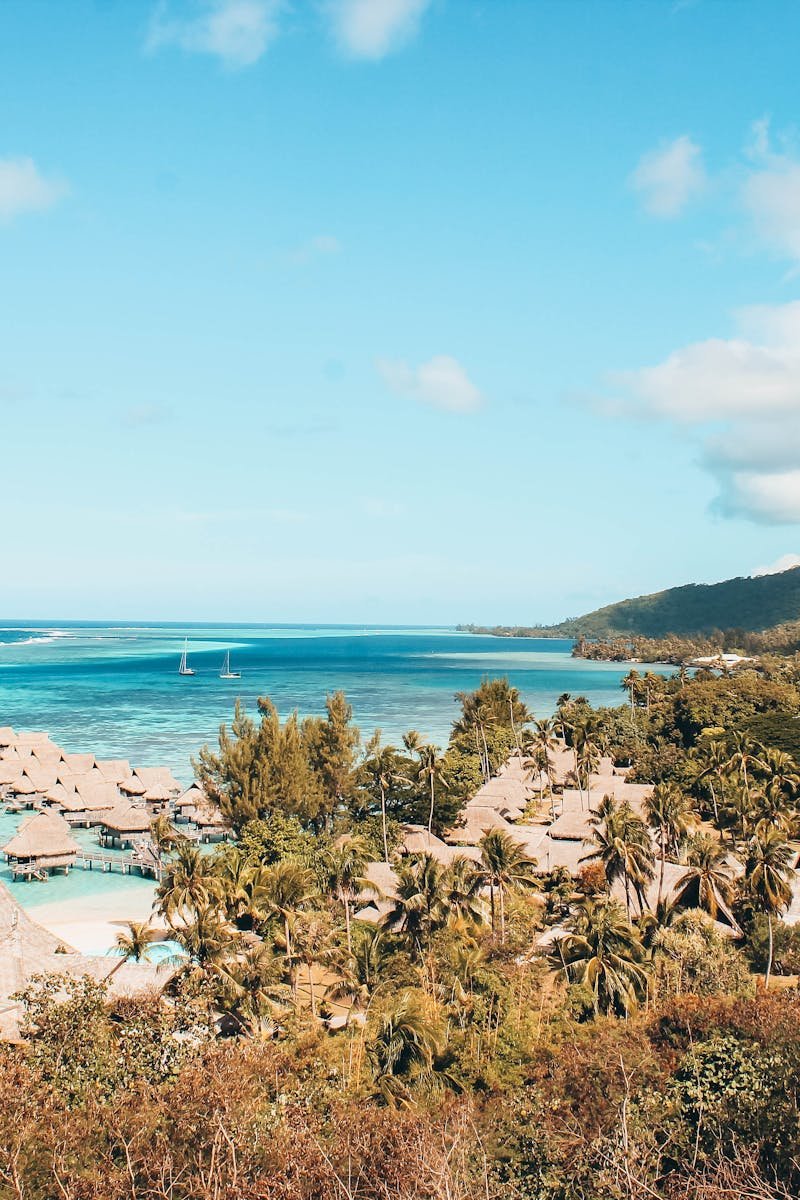 Explore the stunning beauty of tropical overwater bungalows with lush mountains in the background, perfect for travel inspiration.
