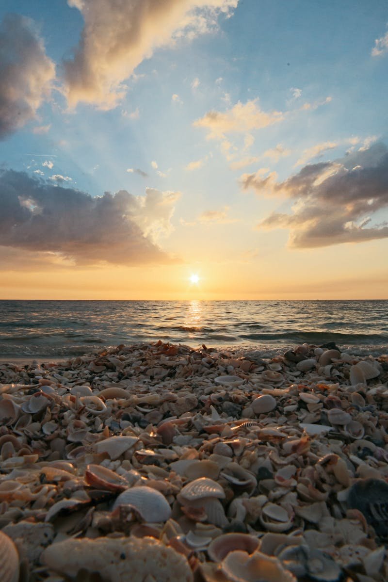 Breathtaking beach sunset over calm waters with seashell-strewn sand.