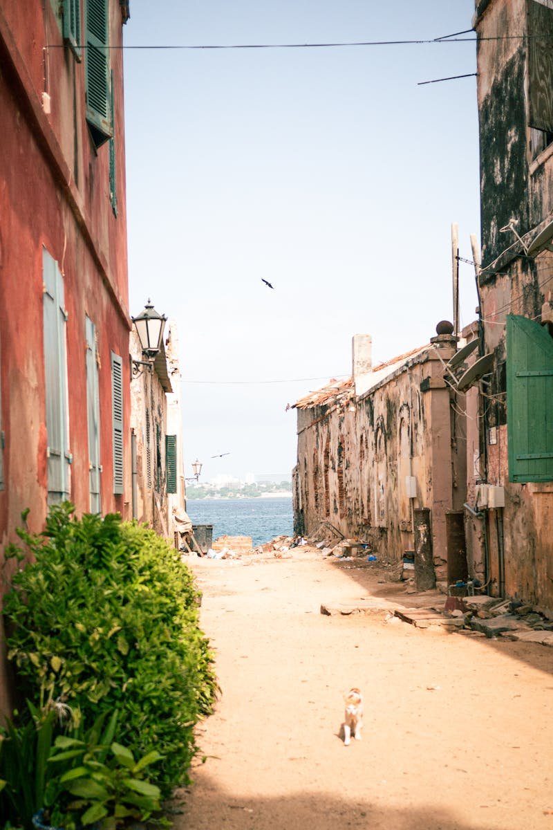 Charming alleyway view with historic buildings, leading to the sea in Senegal.