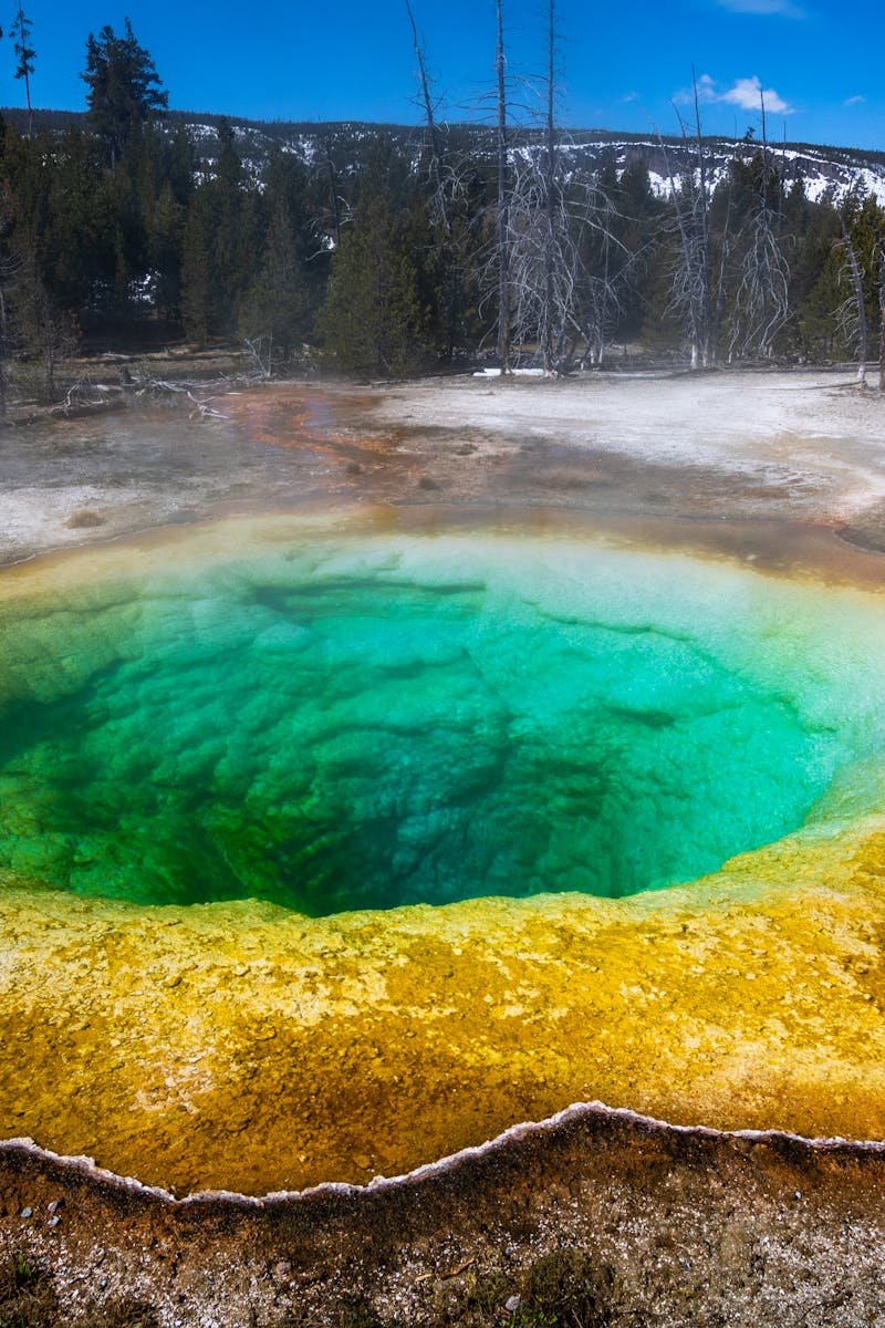 A colorful and steaming hot spring in Yellowstone National Park surrounded by stunning natural scenery.
